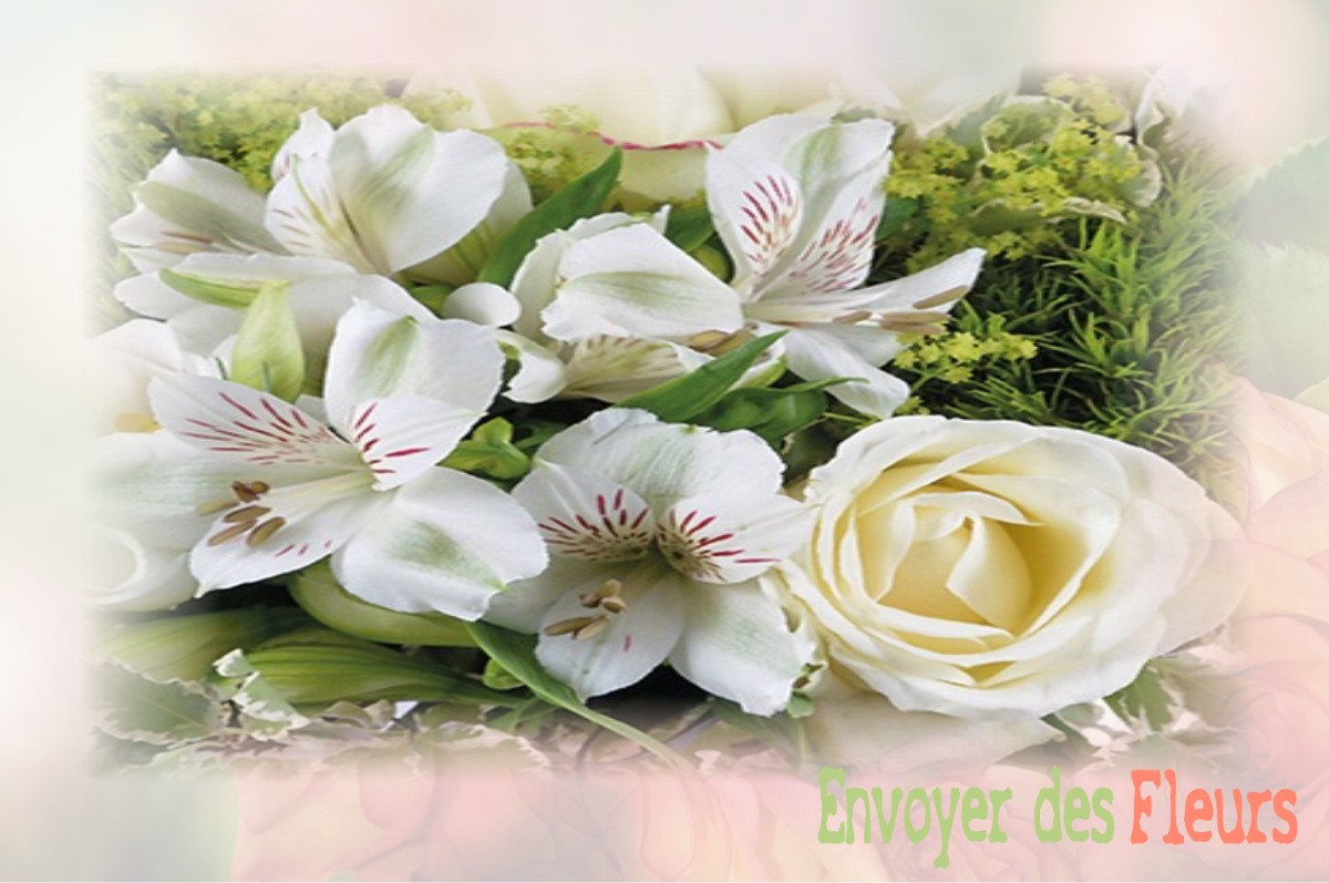 envoyer des fleurs à à SAINT-JEAN-AUX-BOIS